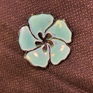 ✂️Stunning teal flower brooch